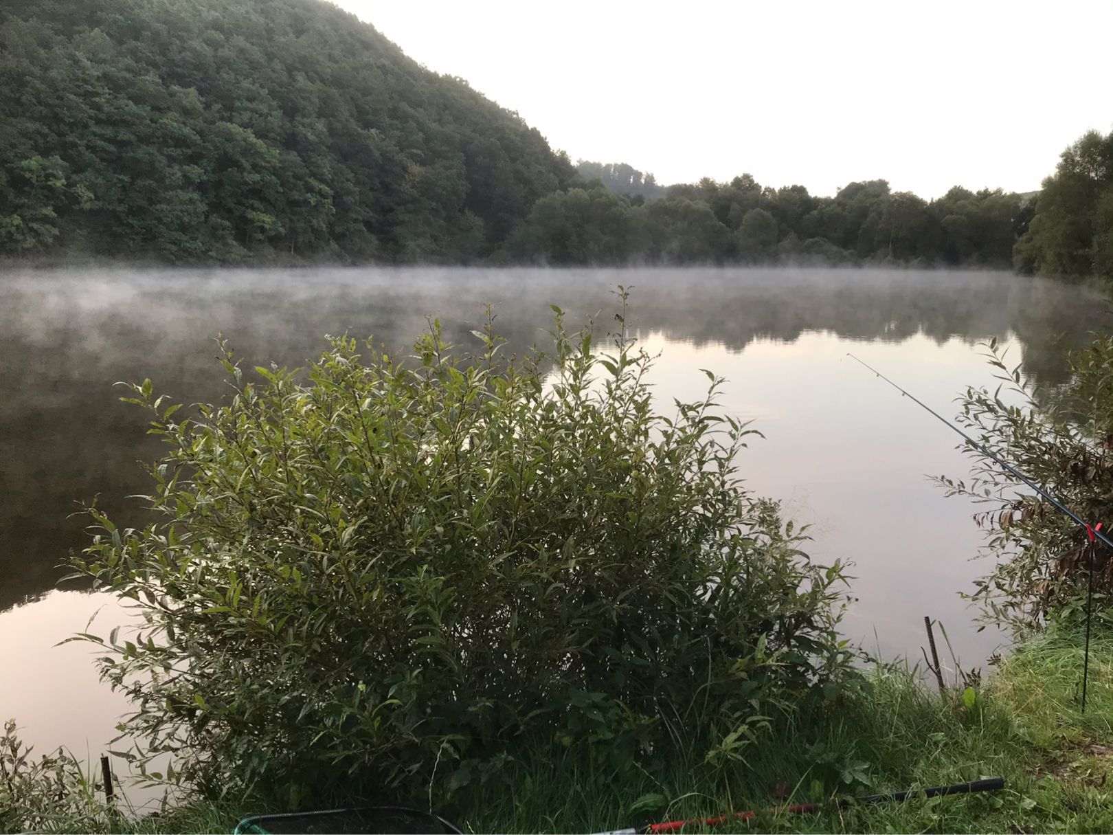 Wirfttalstausee (Stadtkyll) angeln