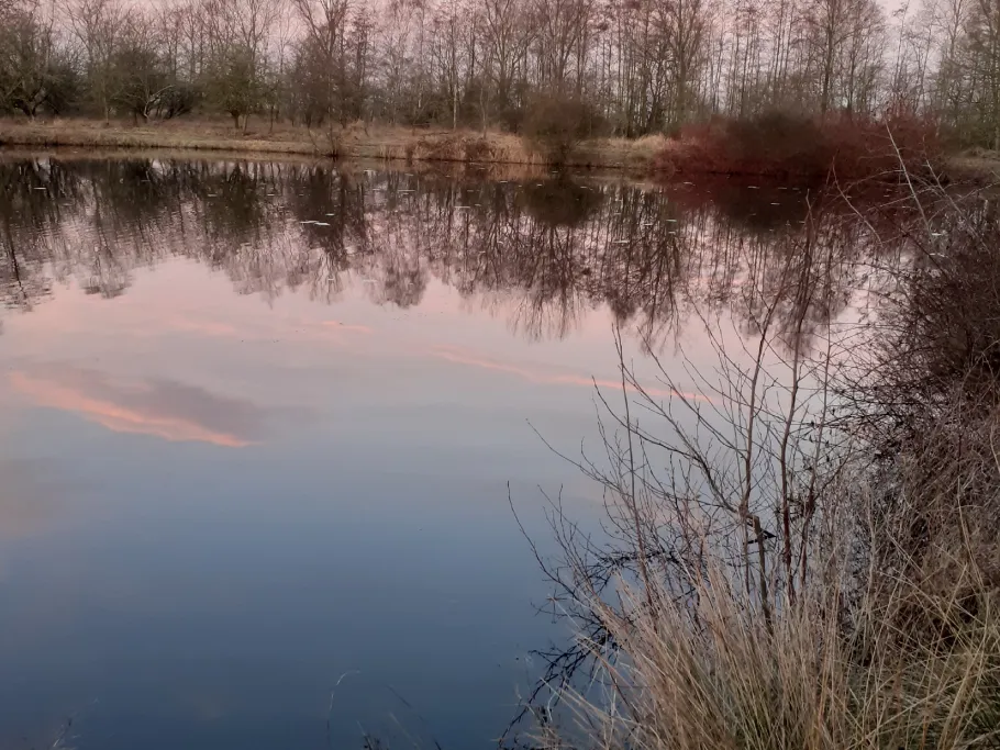 Kolk Bangstede angeln