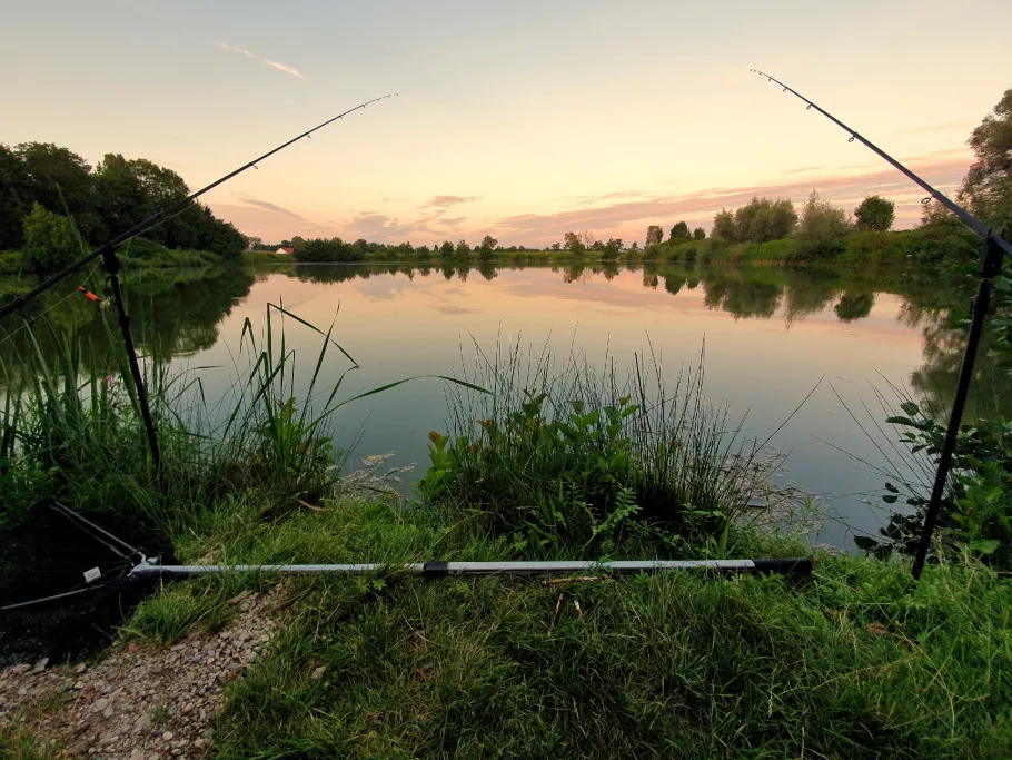 Neufeld 2 (FV MAN)  angeln