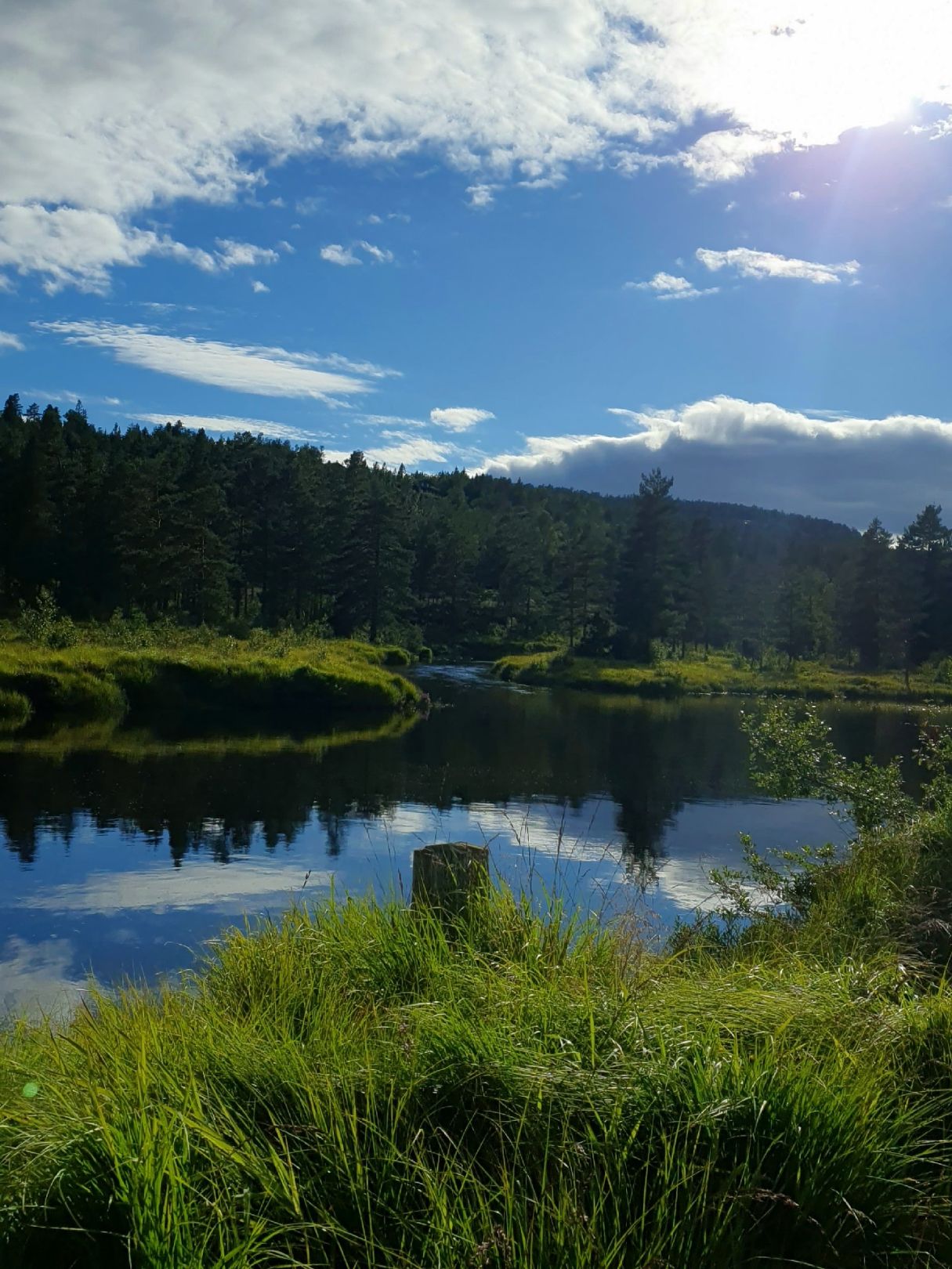 Fjellgardselva (Drangedal) angeln