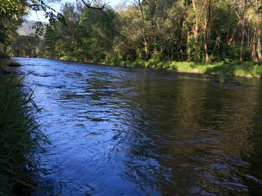 Saale (Kaulsdorf) angeln