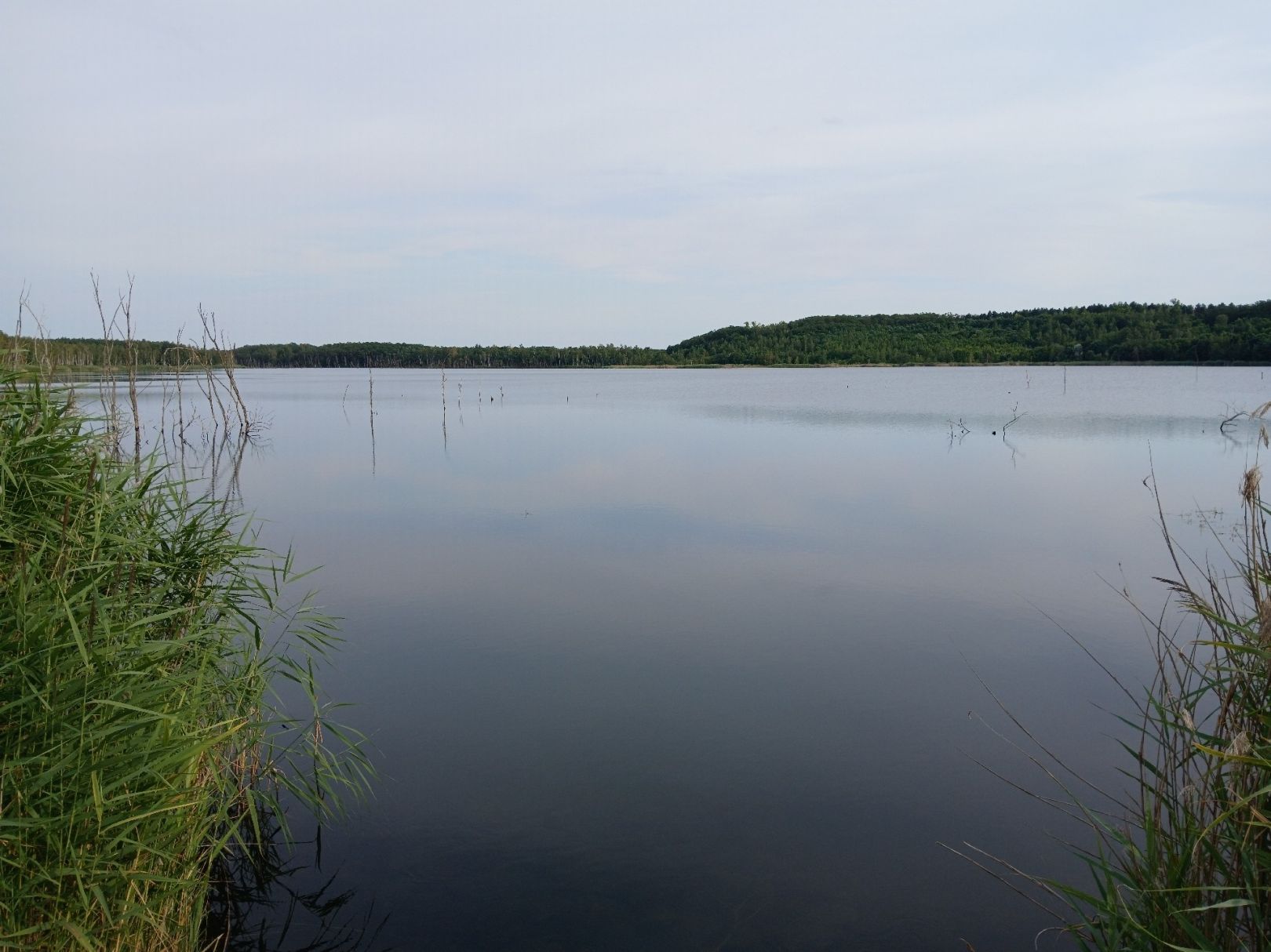 Holzweißiger See angeln
