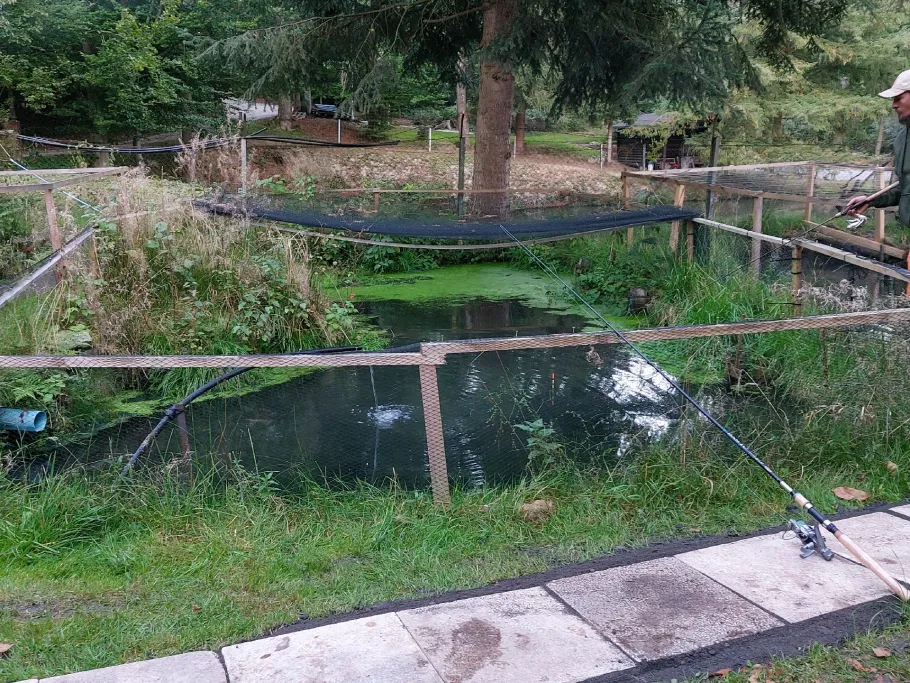 Weiher Kirchdorf im Wald angeln