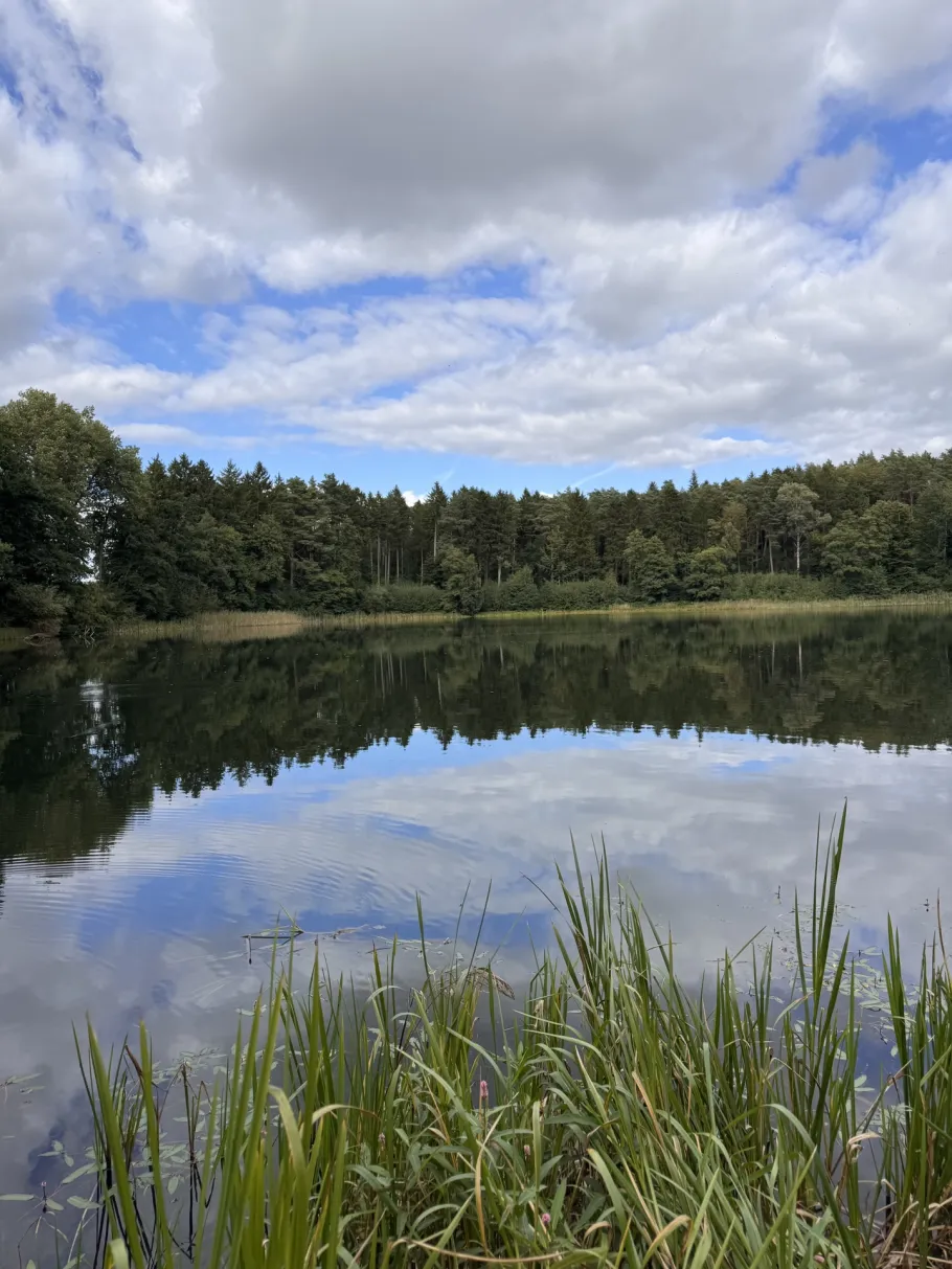 Loofsee (Groß-Labenz) angeln