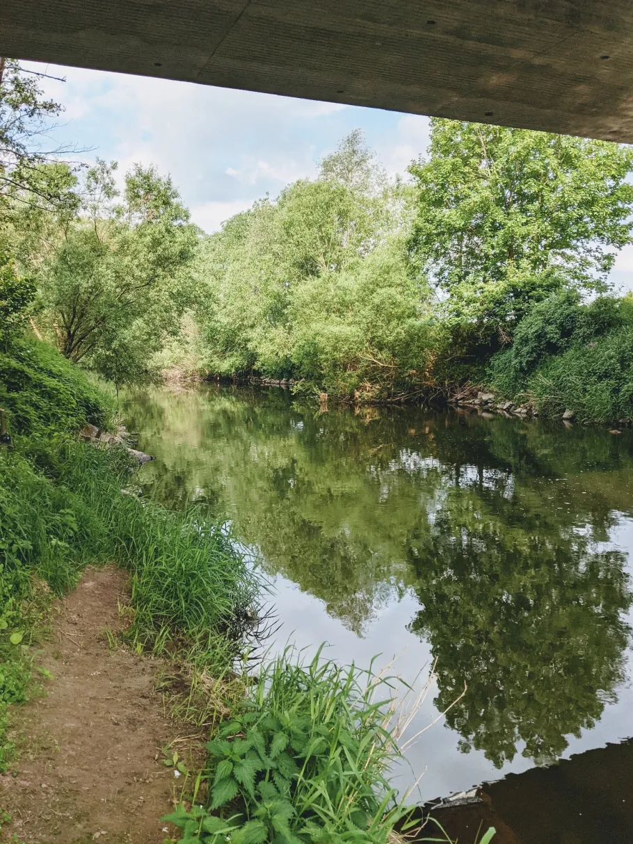 Rhume (Northeim) angeln