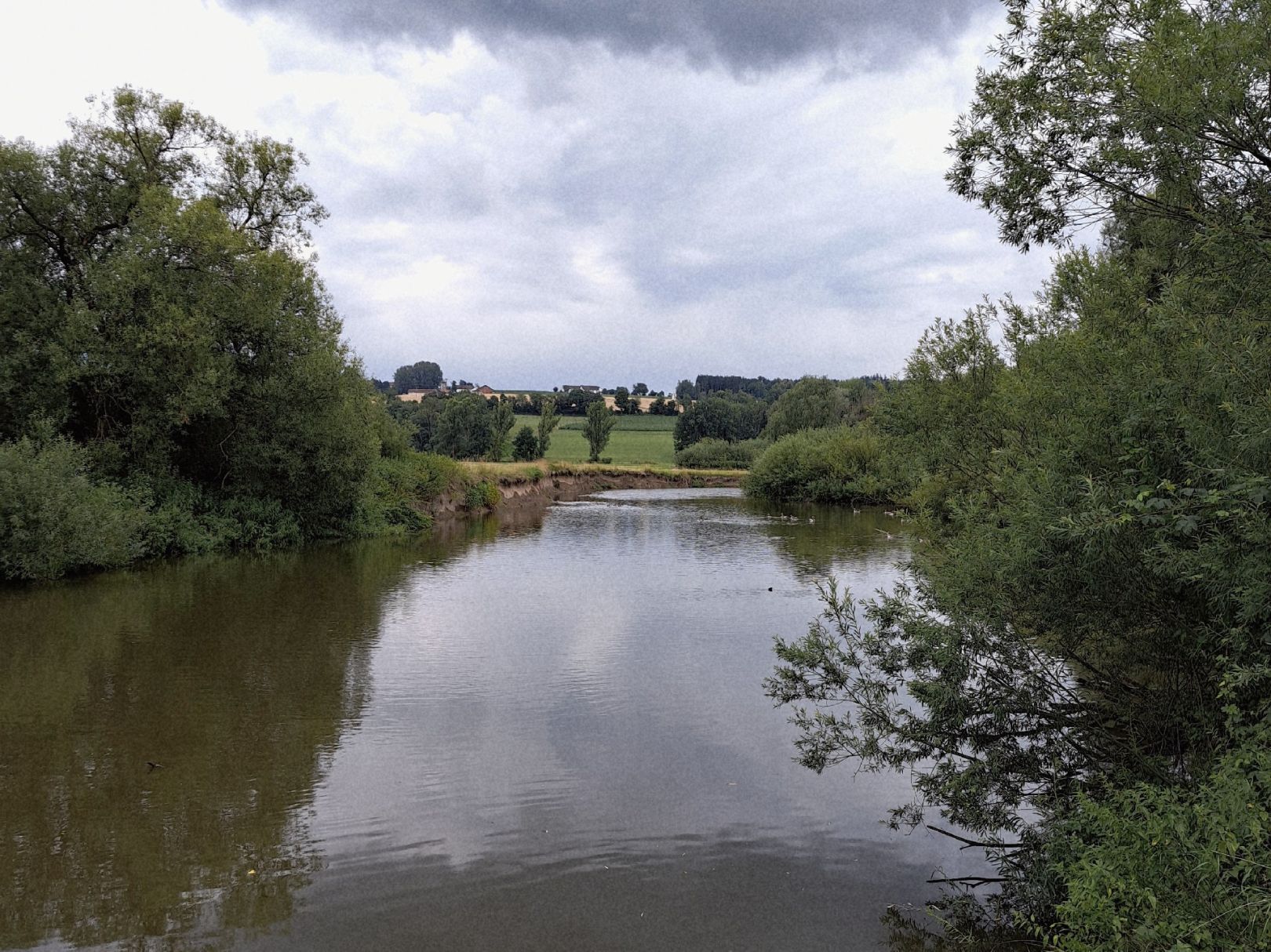 Rott (Pfarrkirchen) angeln