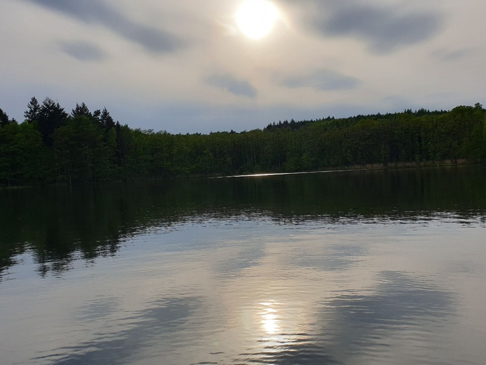 Großer Trepliner See angeln