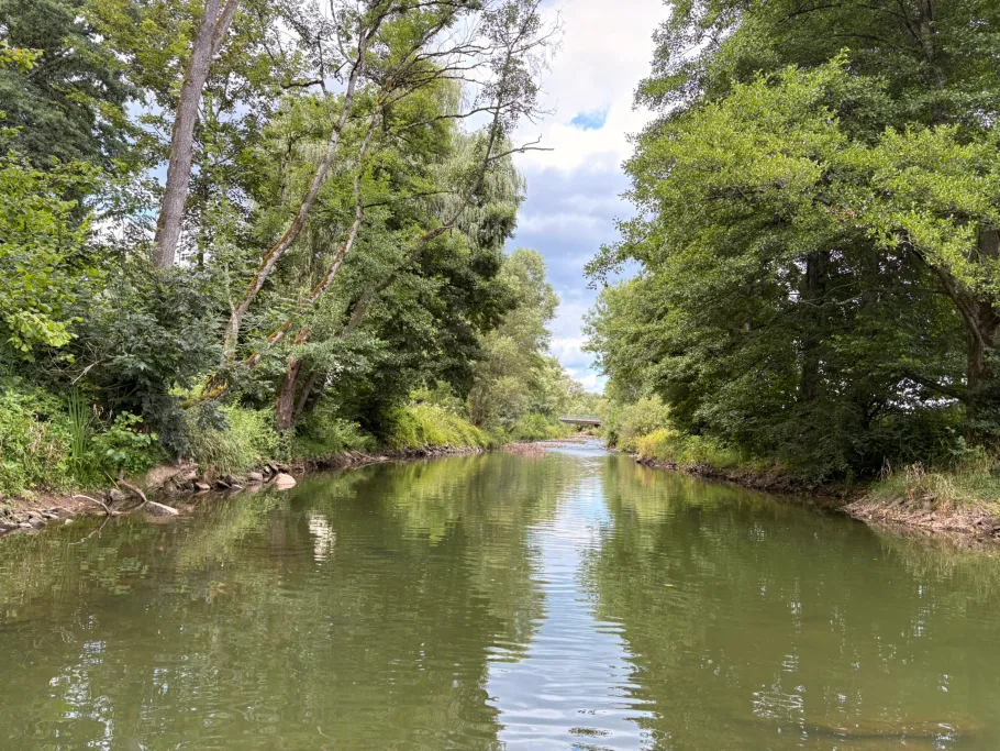 Prüm (Oberweis) angeln