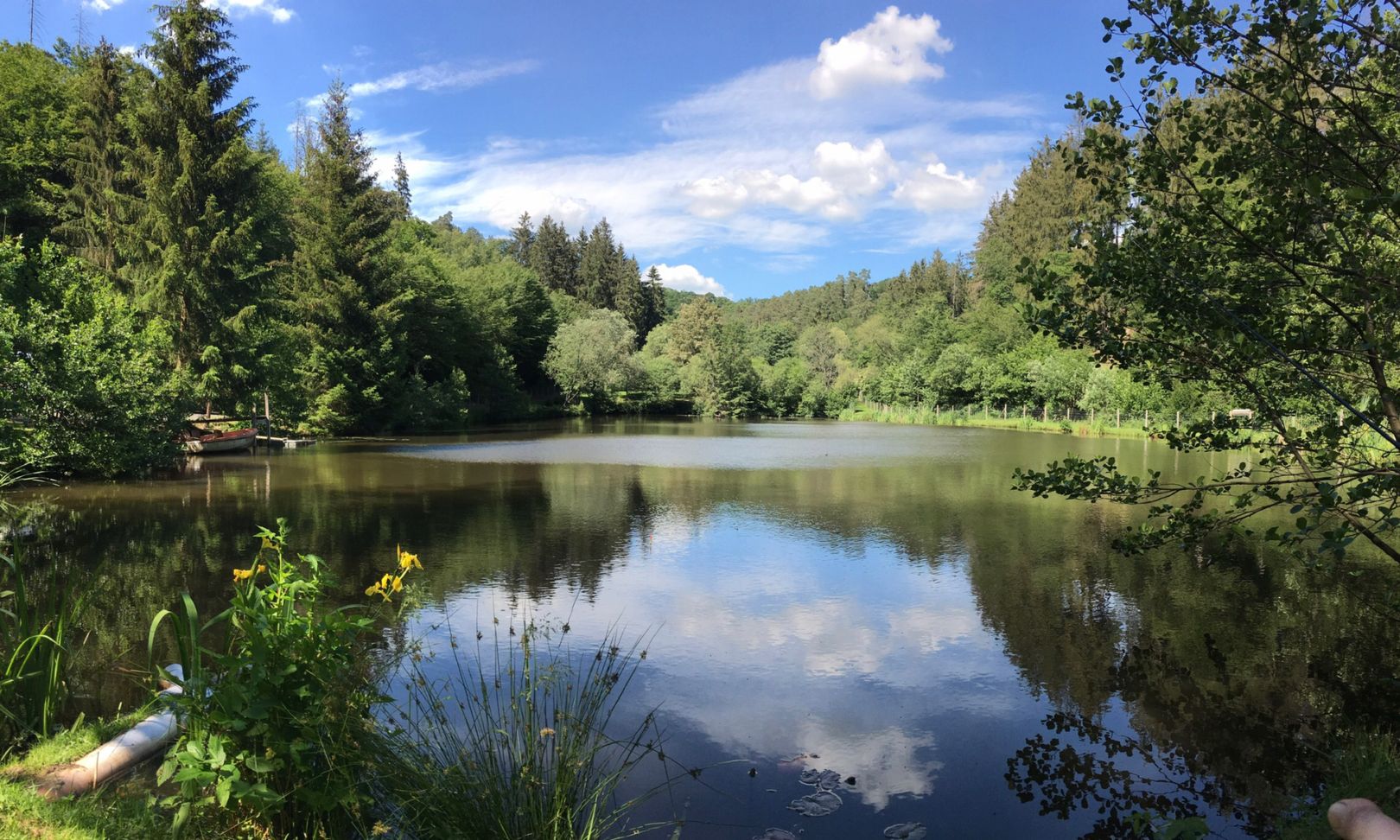 Taunus Fishing Lodge angeln