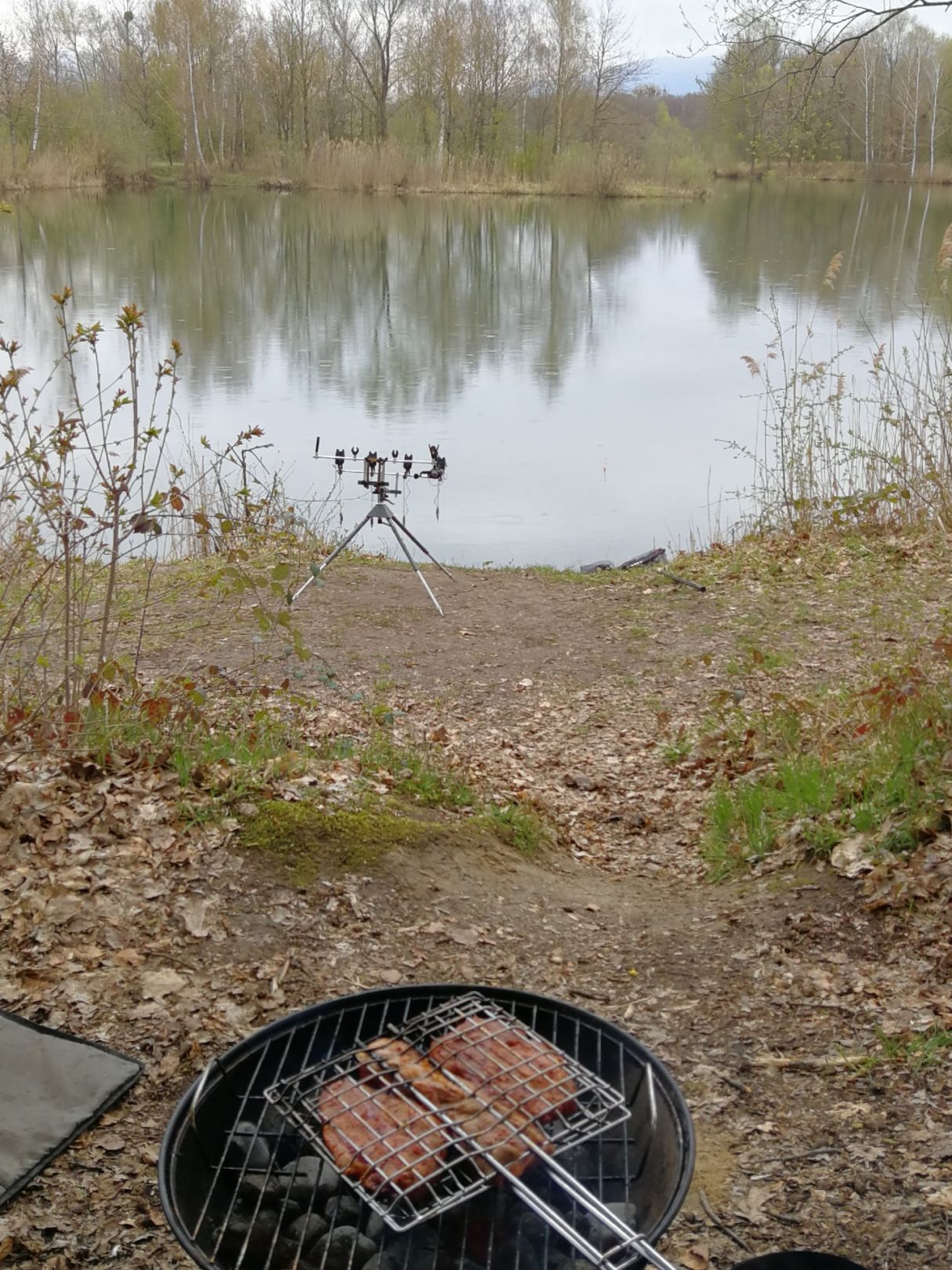 Hölzlweiher (Deggendorf) angeln