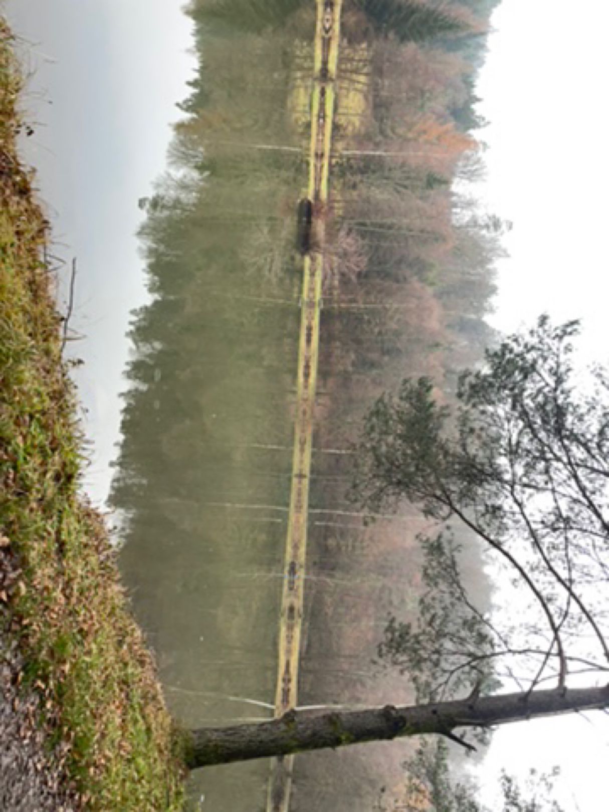 Ausee (Habichsthal) angeln