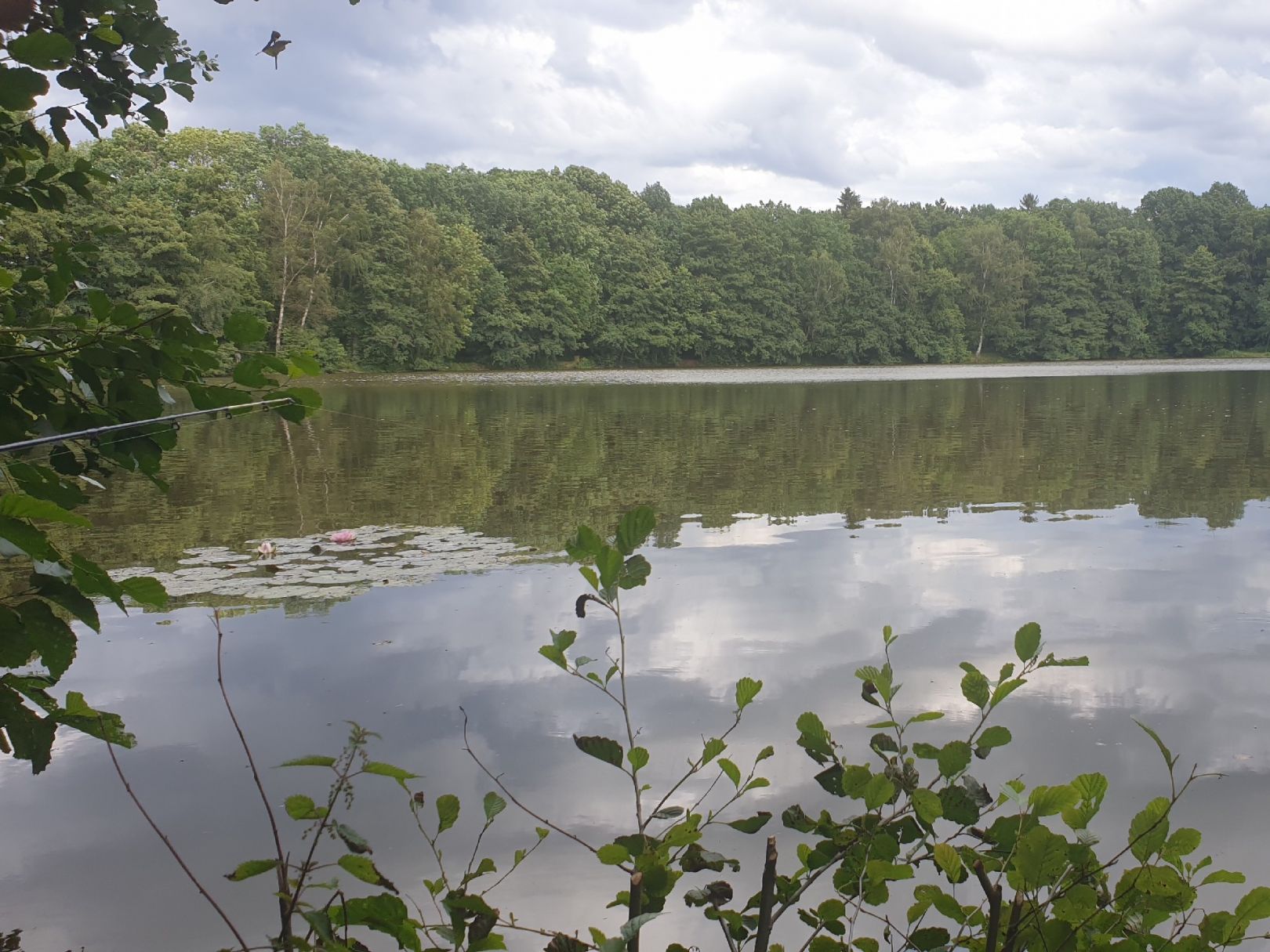 Höhlteich (Oelsnitz) angeln