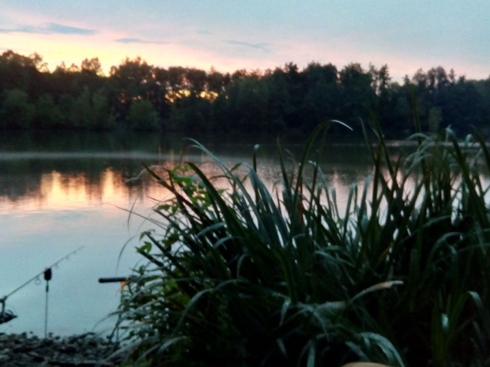 Höhlteich (Oelsnitz) angeln