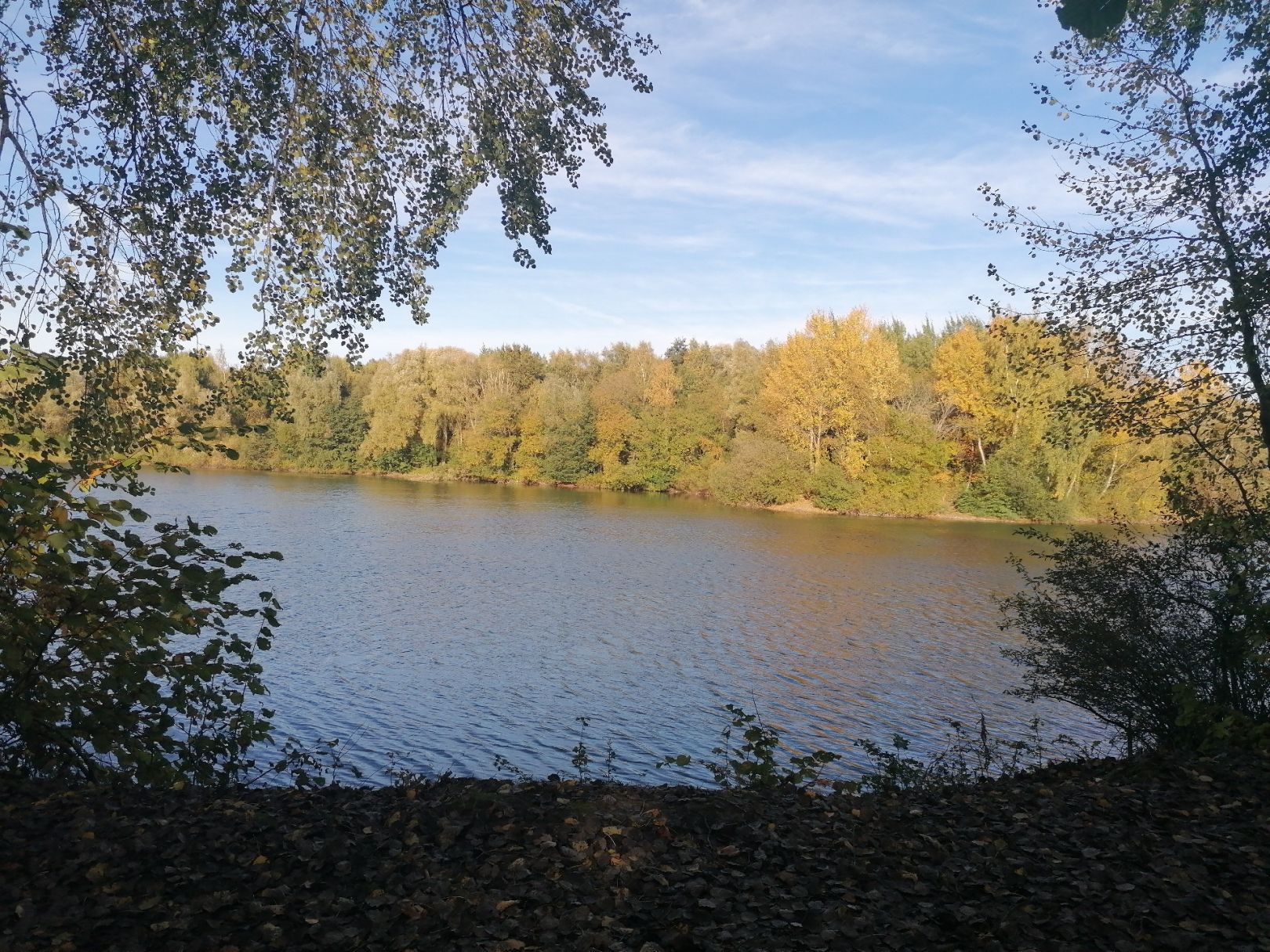 Oker (Ohrum-Kissenbrück) angeln