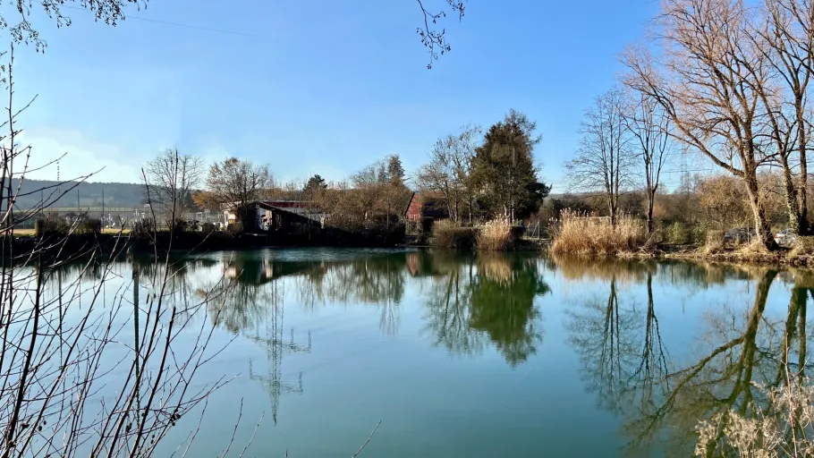 Amannsee (Bönnigheim) angeln