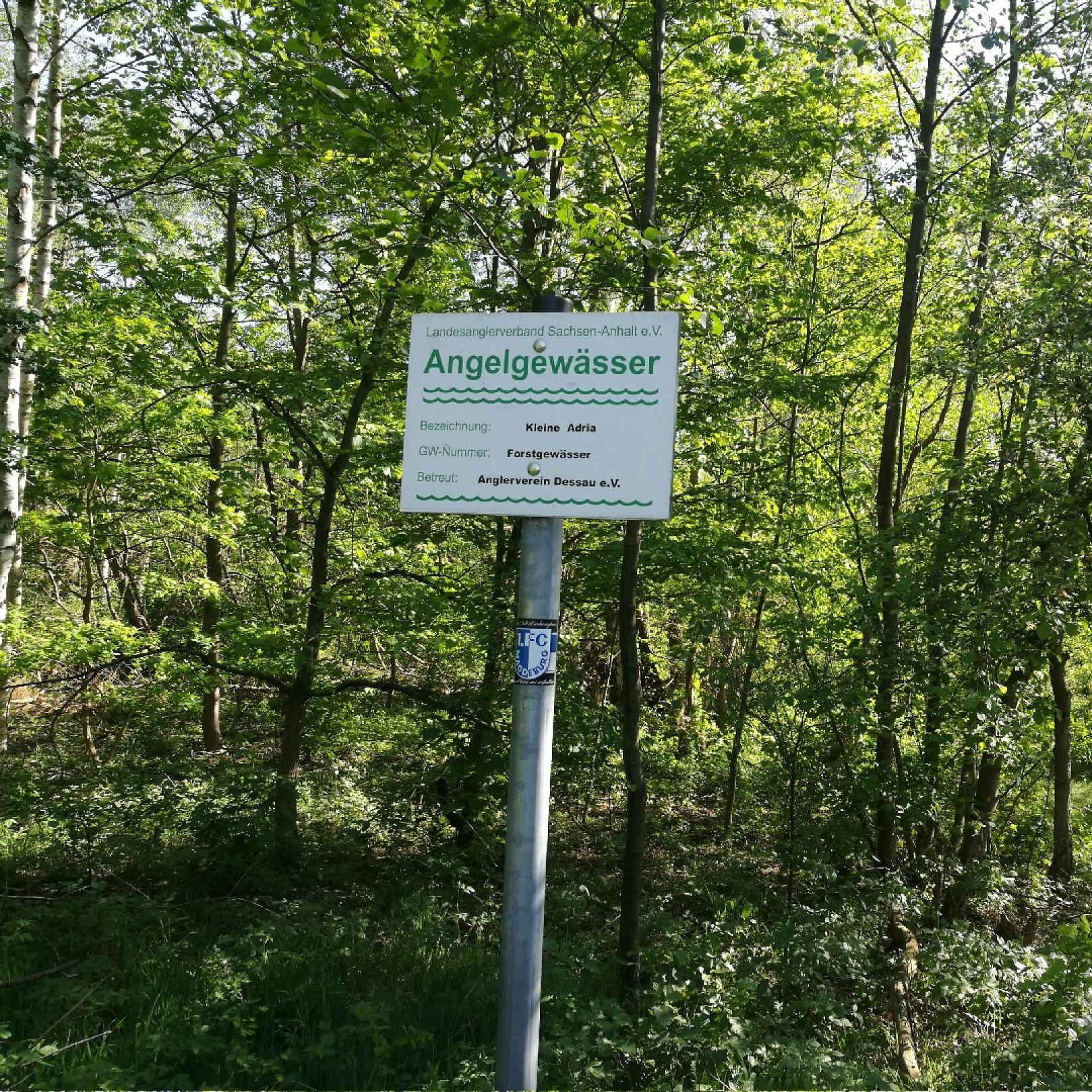 Kleine Adria (Dessau) angeln