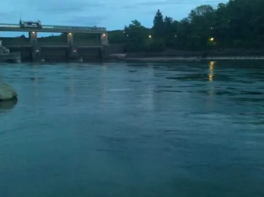 Rhein (Bad Zurzach / Rheinheim) angeln