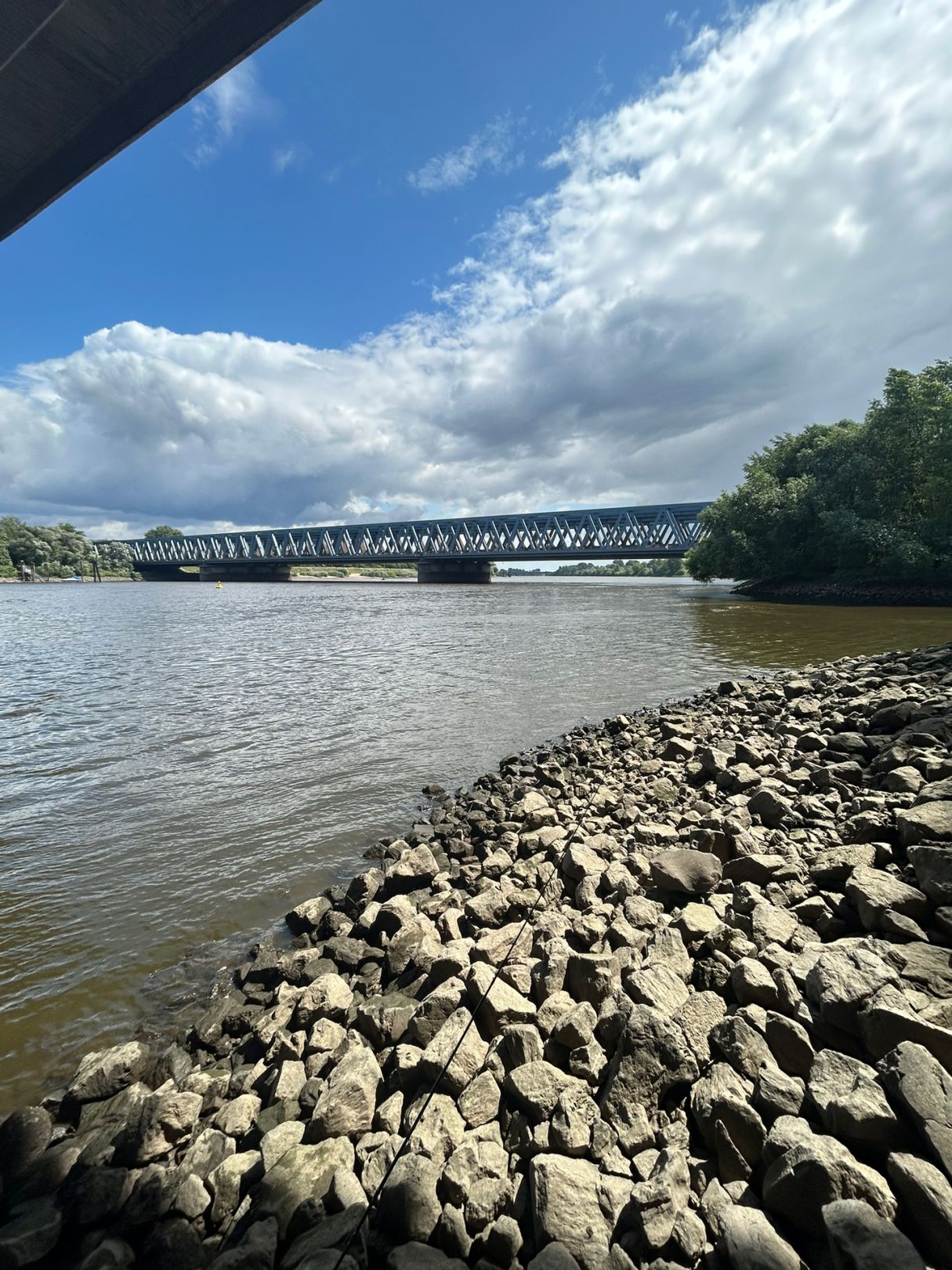 Süderelbe (Hamburg-Harburg) angeln