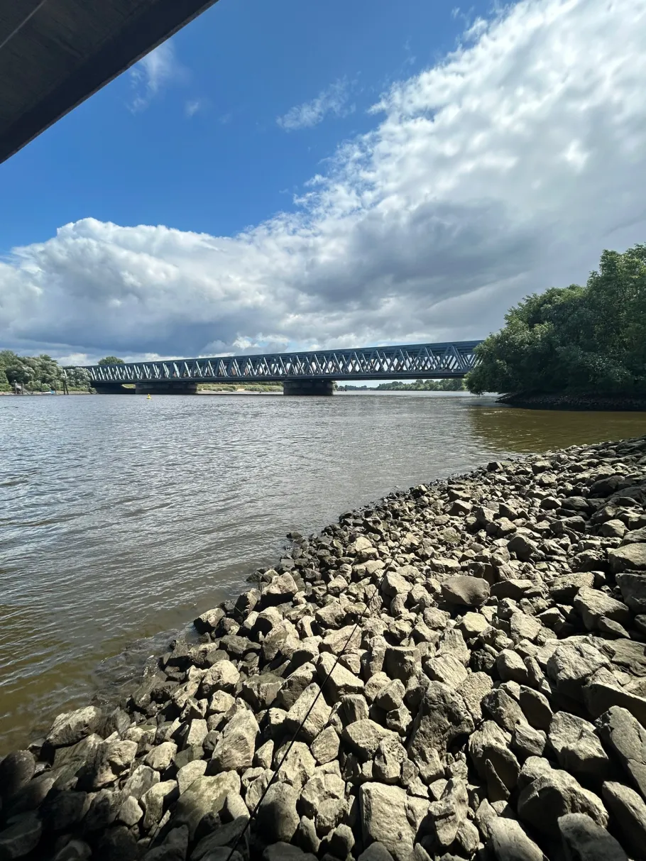 Süderelbe (Hamburg-Harburg) angeln