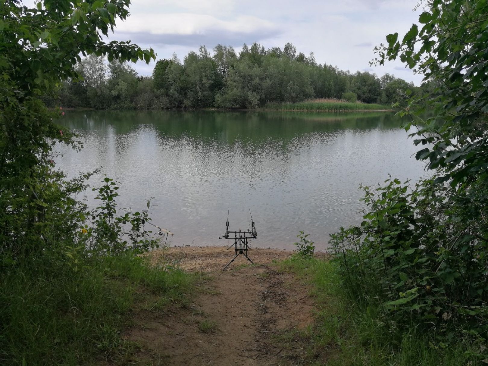 Bierder See (Petershagen) angeln