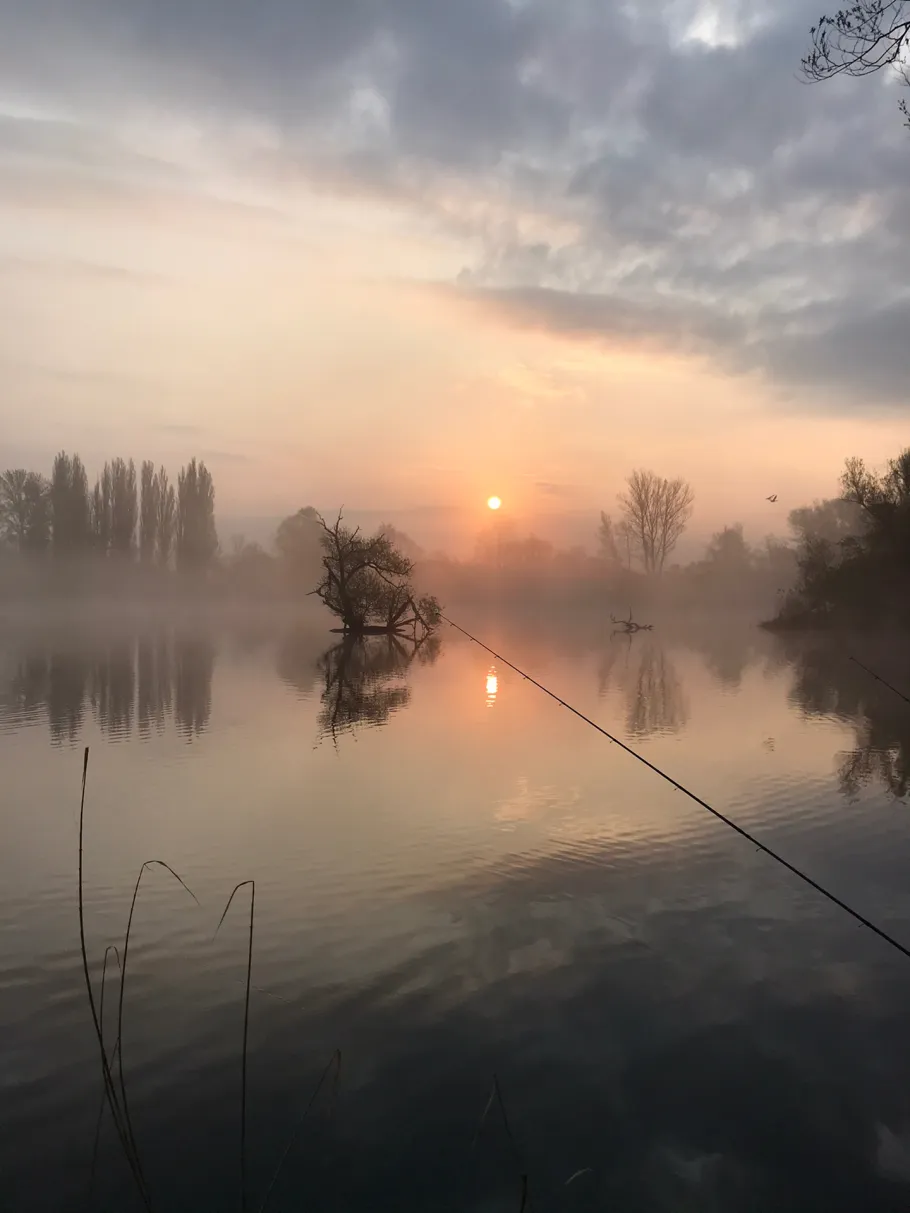 Großer Wülfeler/Detmarscher Teich angeln