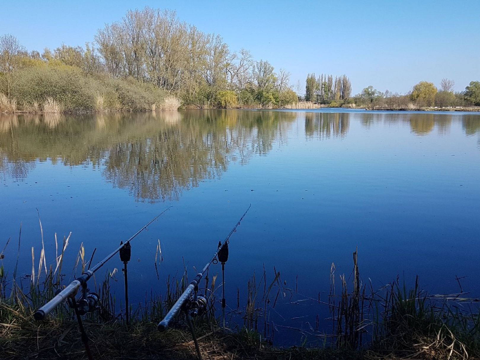 Großer Wülfeler/Detmarscher Teich ALLE ANGELN