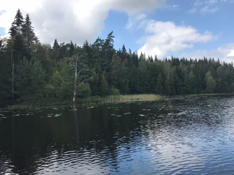 Velen (Älgarås) angeln