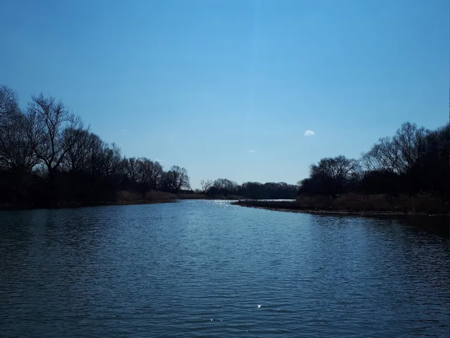 Alte Mulde (Friedersdorf) angeln