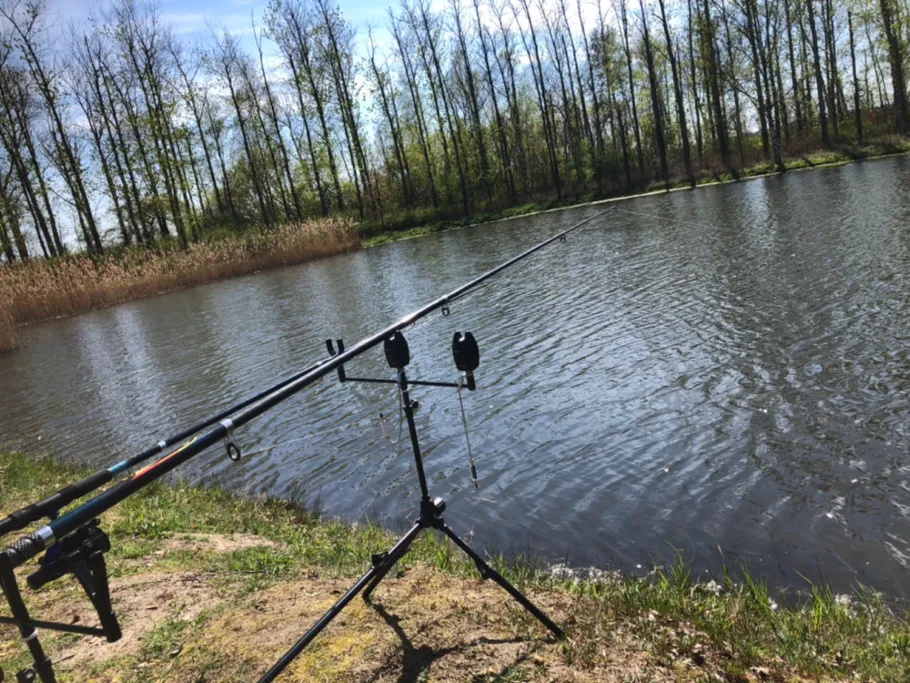 Spetze (Lockstedt) angeln