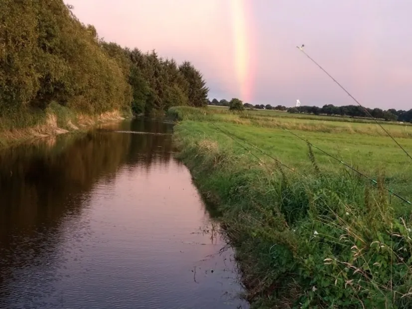 Sielhammer Tief angeln