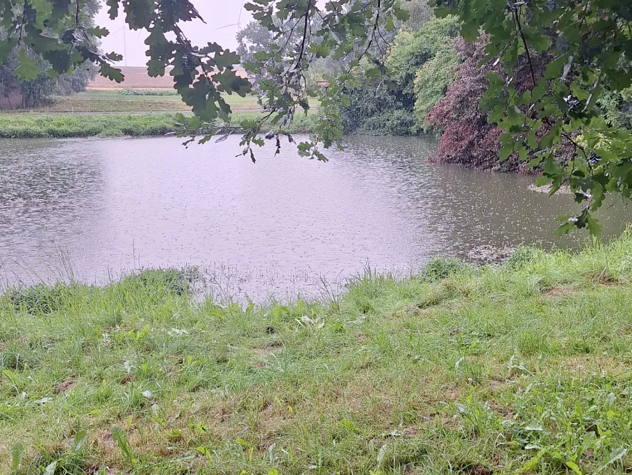 Dorfteich(Trebenow) angeln