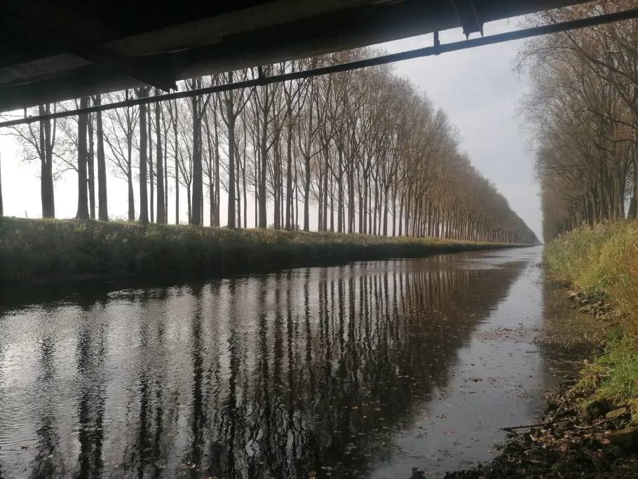 Kanal van de Leie (Damme) angeln