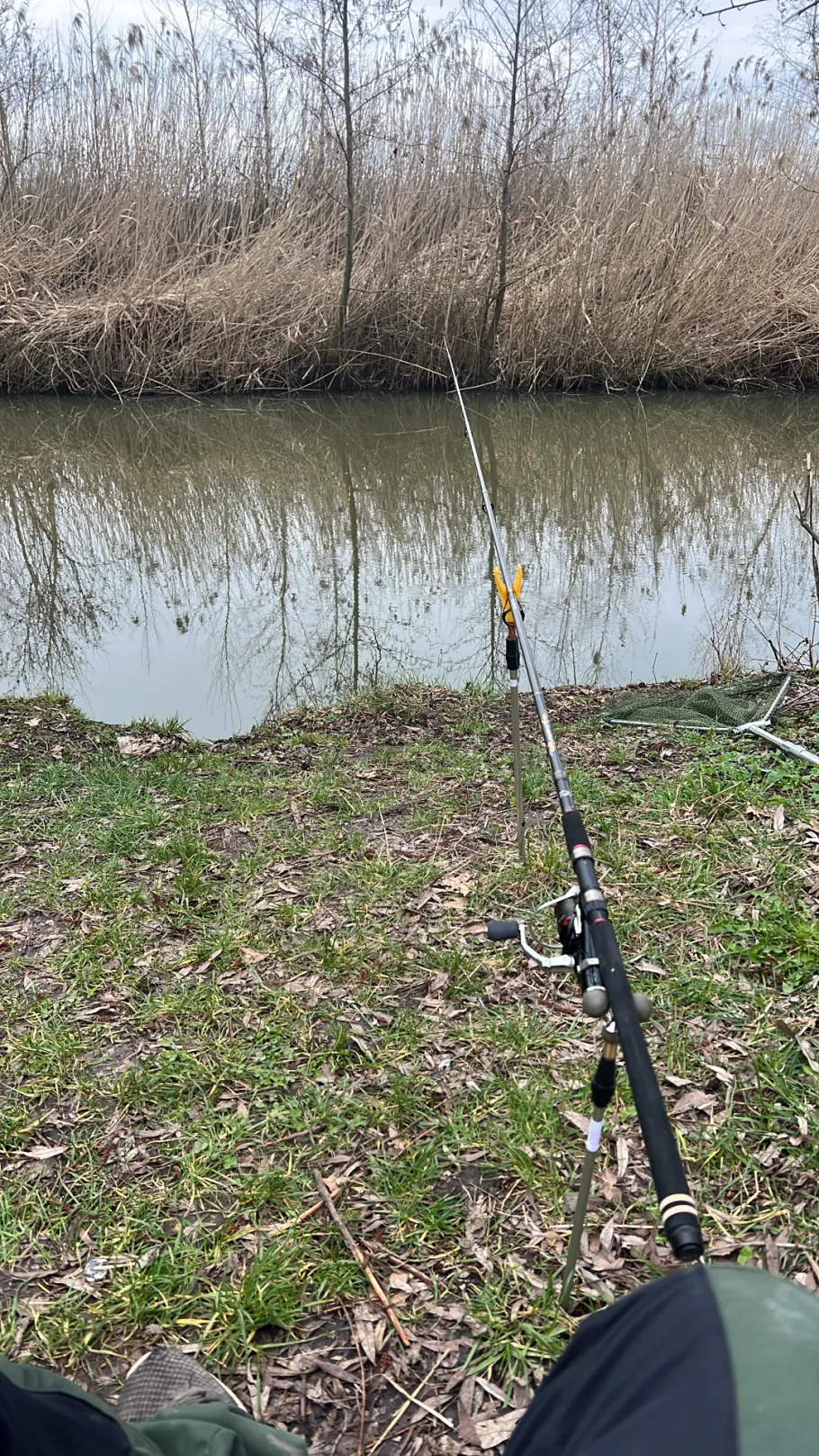 Walder Altmühl (Gunzenhausen) angeln