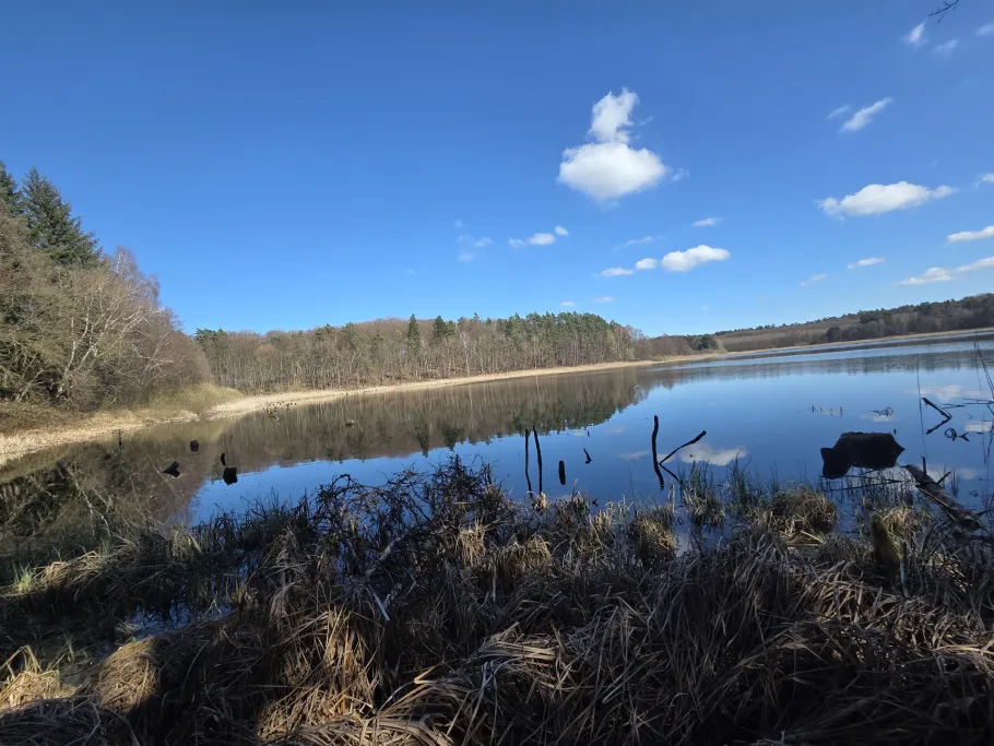 Lähnwitzer See angeln