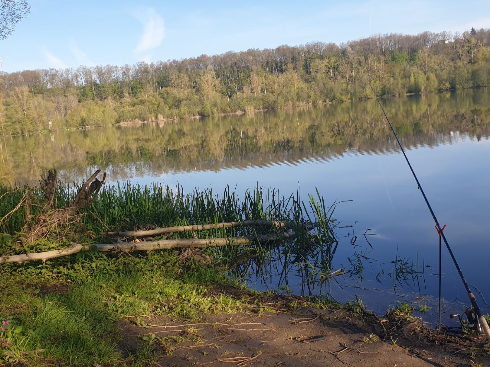 Brückenhaussee (Baunach) angeln