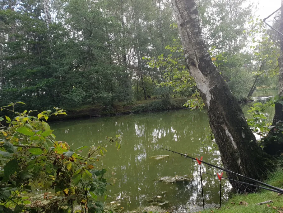 Dingdener Heide  angeln