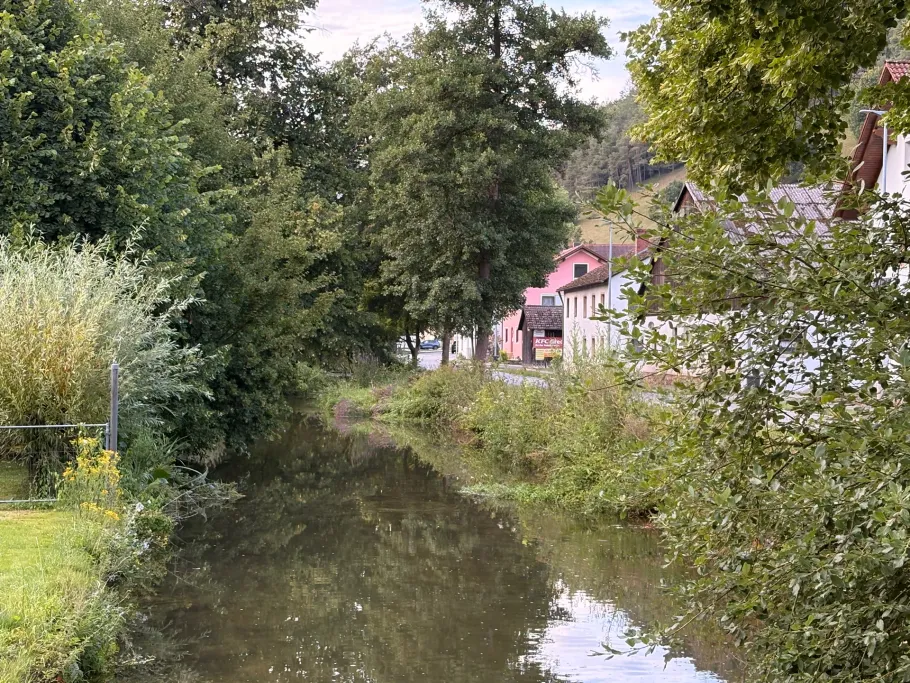 Anlauter (Kinding) angeln