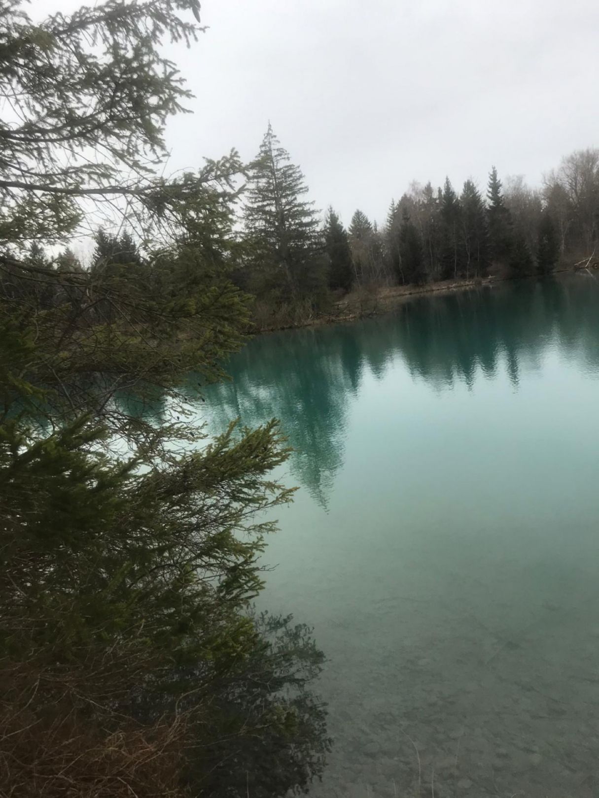 Haindlesee (Burtenbach) angeln