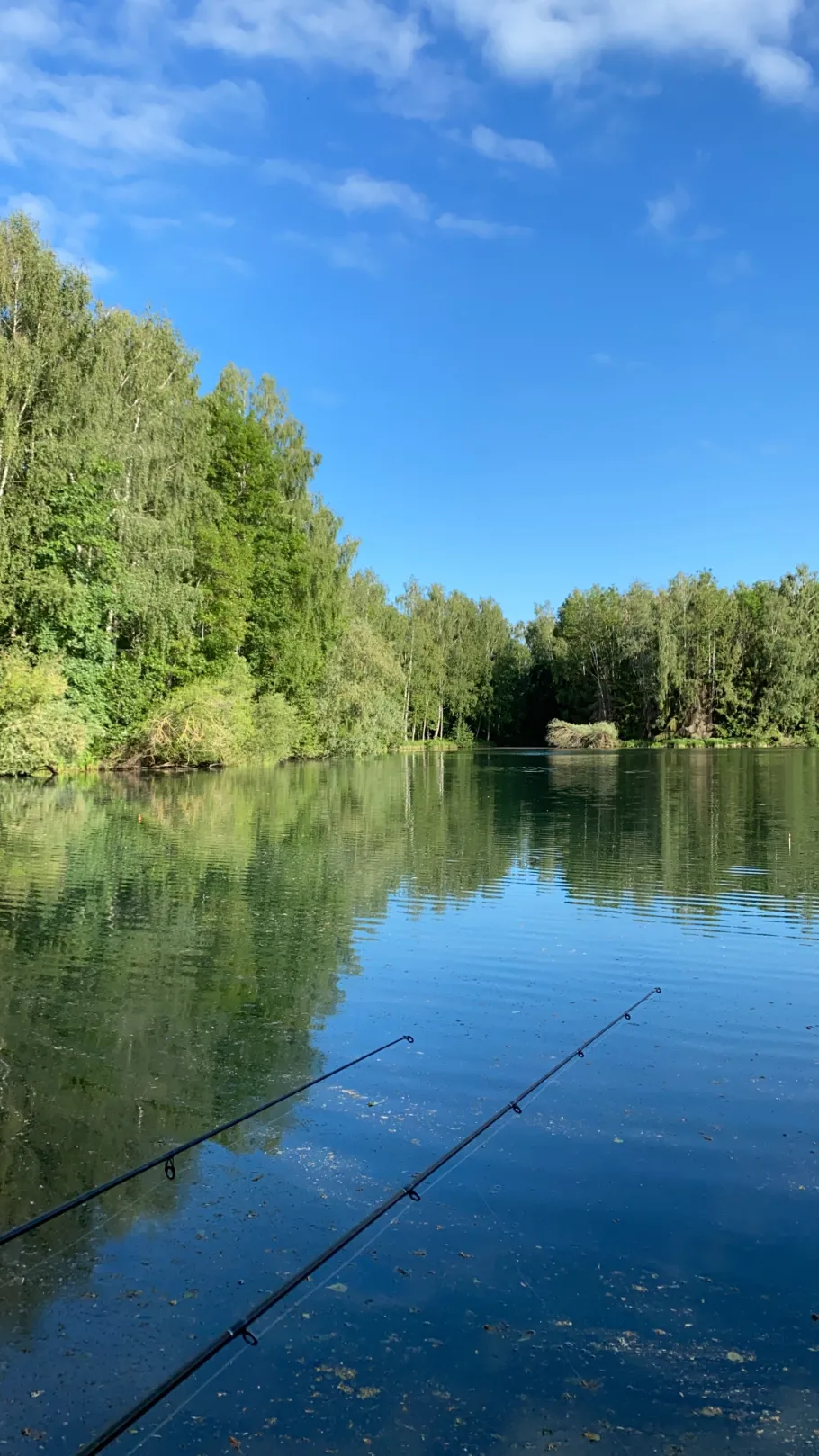 Haindlesee (Burtenbach) angeln