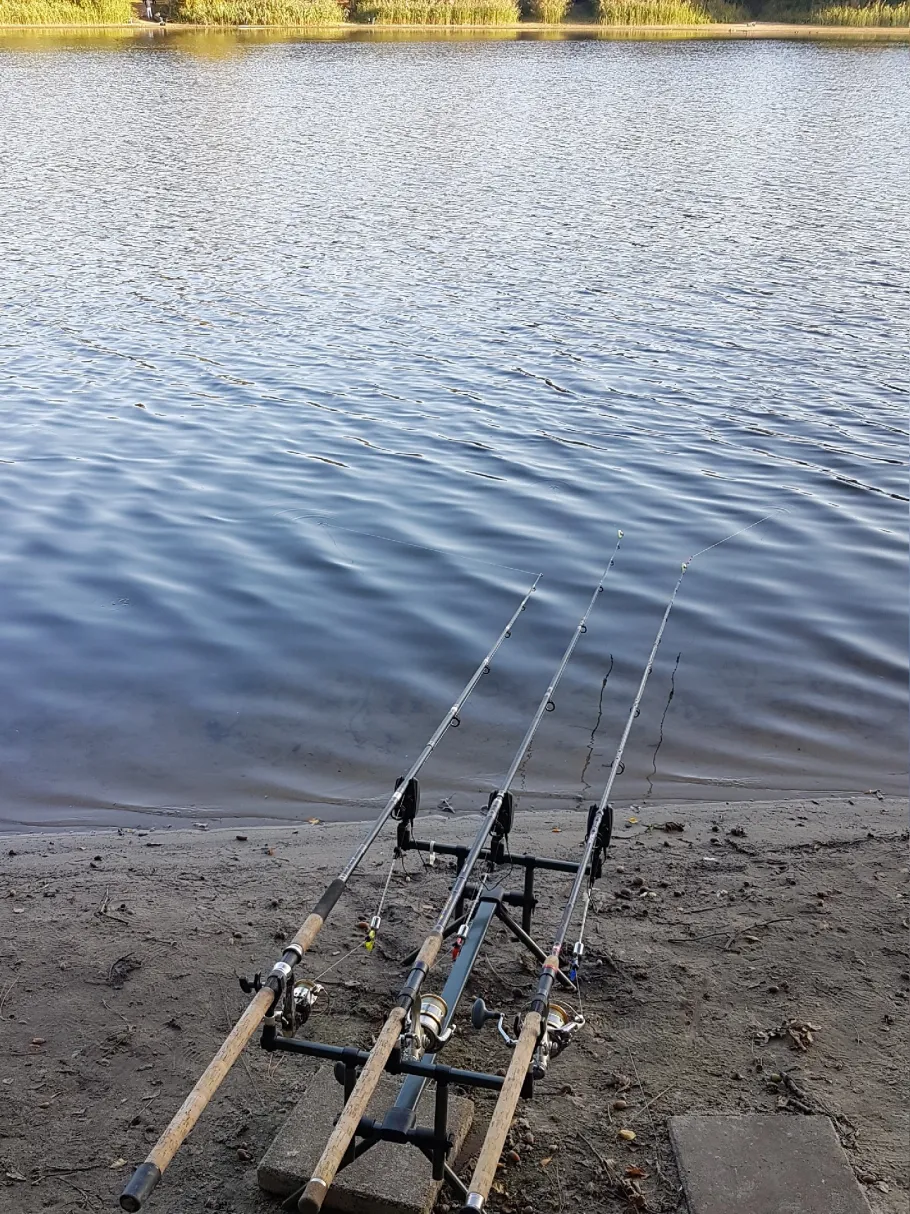 Center Parcs Het Meerdal angeln