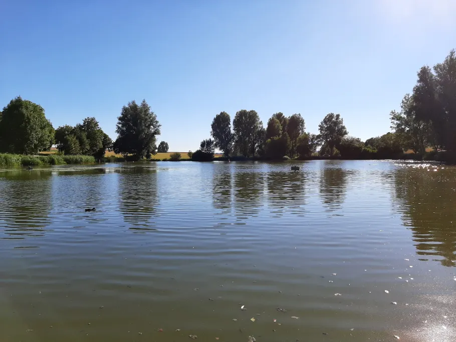 Tälesee (Empfingen) angeln