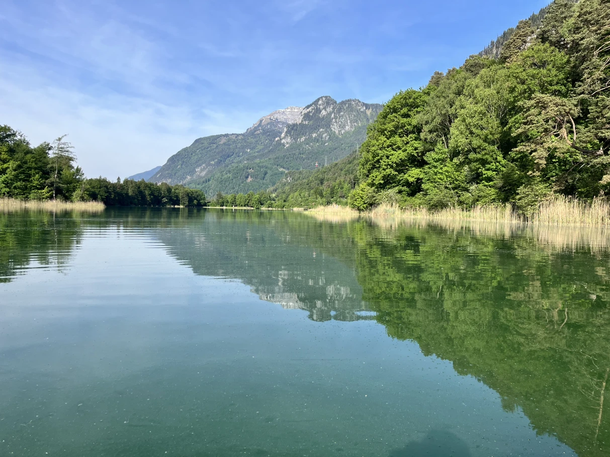Reintaler See angeln