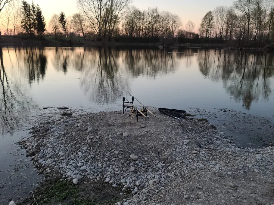 Schwanensee (Merching) angeln