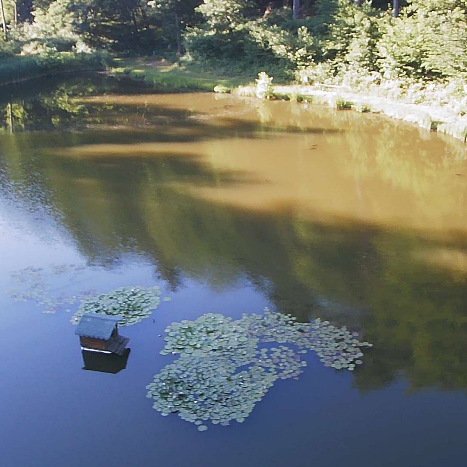 Teich ASV Wehrden angeln