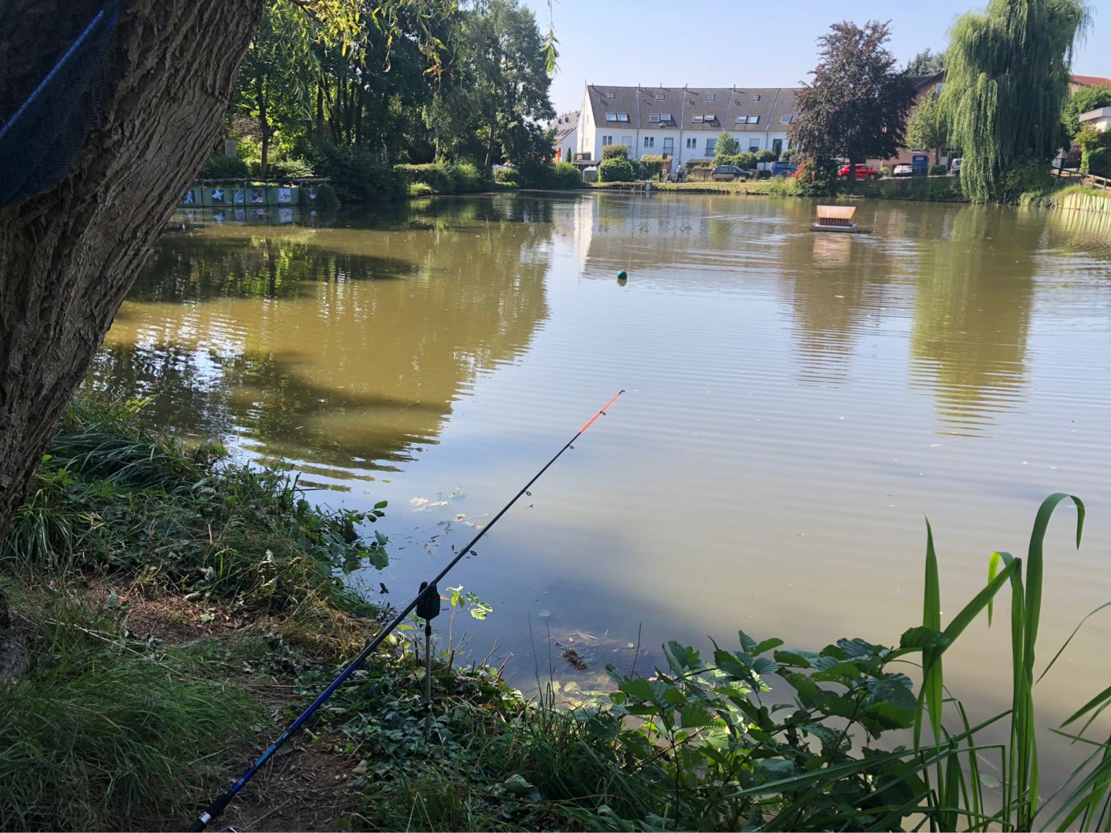 Teichanlage Oberrosbach angeln