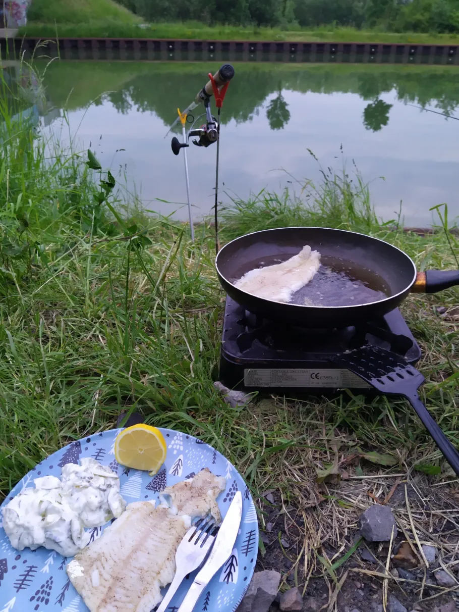 Dortmund-Ems-Kanal (Hiltrup) angeln