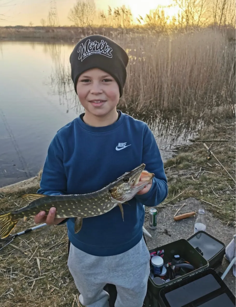 Darkrug (Meitzendorf) angeln