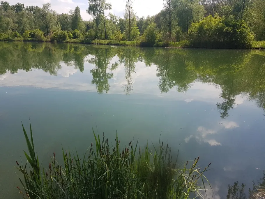 Steinheim 2 (Dillingen an der Donau) angeln