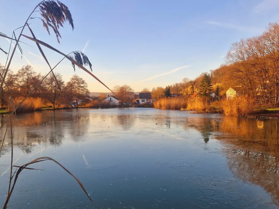Forstwaldteich (Mauer) angeln