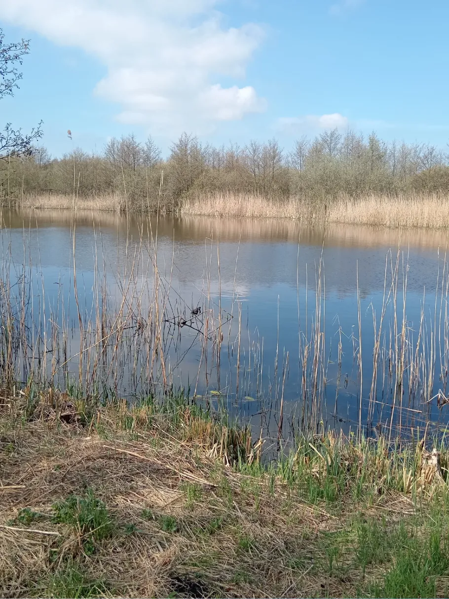 Rethwischer Torfmoor angeln